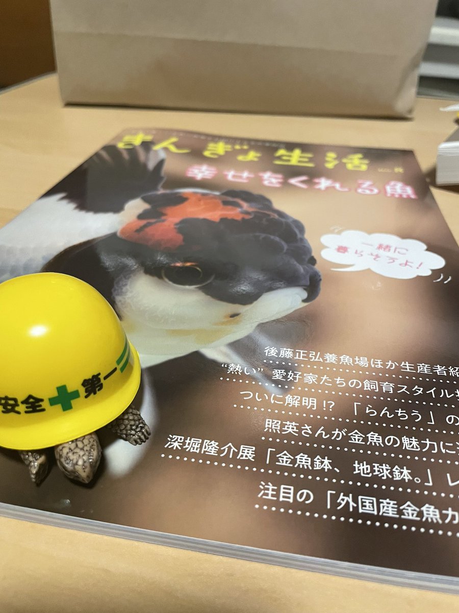 pei93368518's tweet photo. きんぎょ生活キタキタ☺️ https://t.co/BSBezuYusD