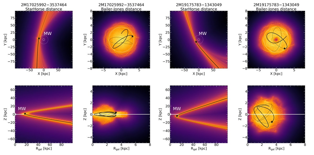 I've a new accepted first author paper that I titled: "Galactic ArchaeoLogIcaL ExcavatiOns (GALILEO)
I. An updated census of <a href="/APOGEEsurvey/">APOGEE Survey</a> N-rich Giants Across the Milky Way" - We also identified two possible Hypervelocity N-rich star (HVNS) candidates with StarHorse, but ...