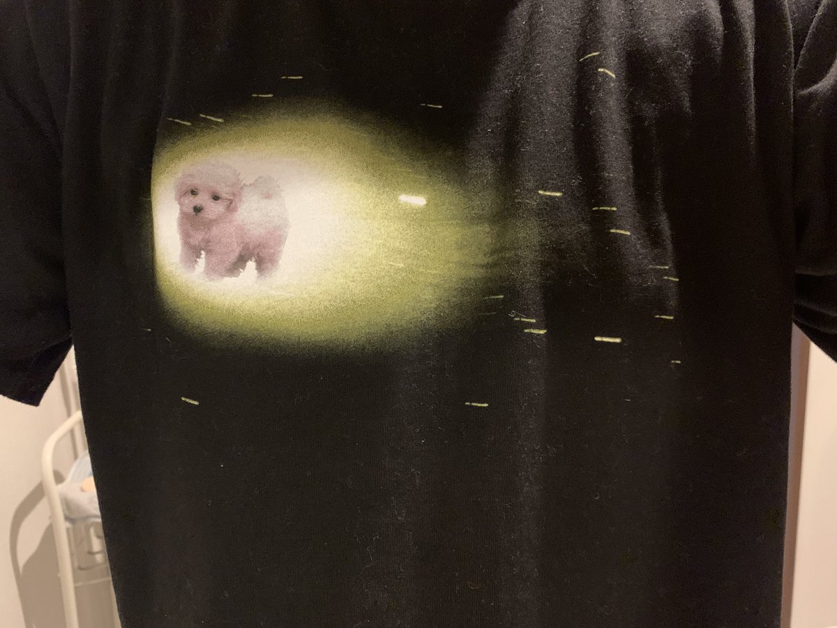 犬が流れ星になった様なtシャツを着て病院に行ったら先生に それ 飼ってた犬 死んだの と聞かれて戸惑ってしまったお話 Togetter