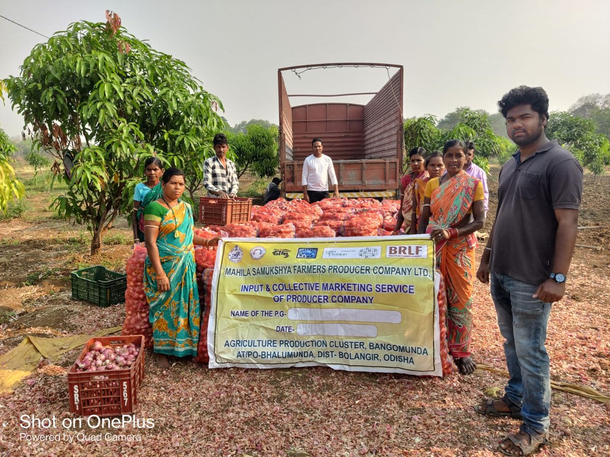 Total 300 Quintal onion is marketed by Mahila Samukhya Producer Company Ltd.  Harvested by Maa Chandi Bastren producer group of Fuguda Village Under the APC Project,SSS Bangomunda 
Per Quital Rs 1020 PC Margin @ Rs 300.