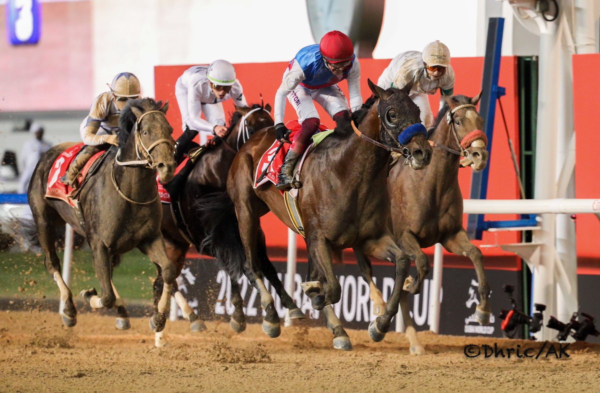 DubaiRacingTV's tweet photo. Don't miss the final #TheWinningLine of the season tonight!
@OsheaTadhg joins @LauraKingDXB and @AdolphsonRacing in the studio to reflect on a fantastic #DubaiWorldCup, plus we'll be looking back at the final two meetings of the season from @ADECOfficial and @aesgc.
6pm, live. https://t.co/pvlffBwfNY
