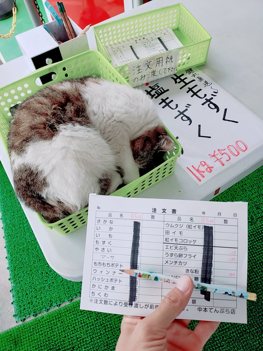 SuperPheromons's tweet photo. 注文用紙を取るの邪魔してくる

許す！ https://t.co/Z5ylmkQOks