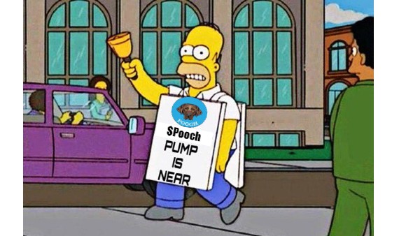PoochFTM's tweet photo. $POOCH $FTM - seize the day! https://t.co/0kt6h1ffe9