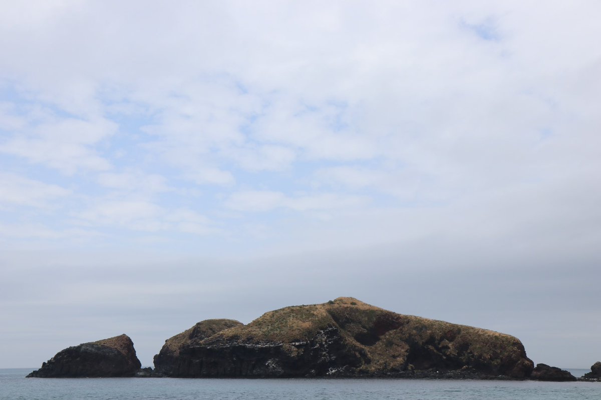 문왕수 (@shiri_300) on Twitter photo 