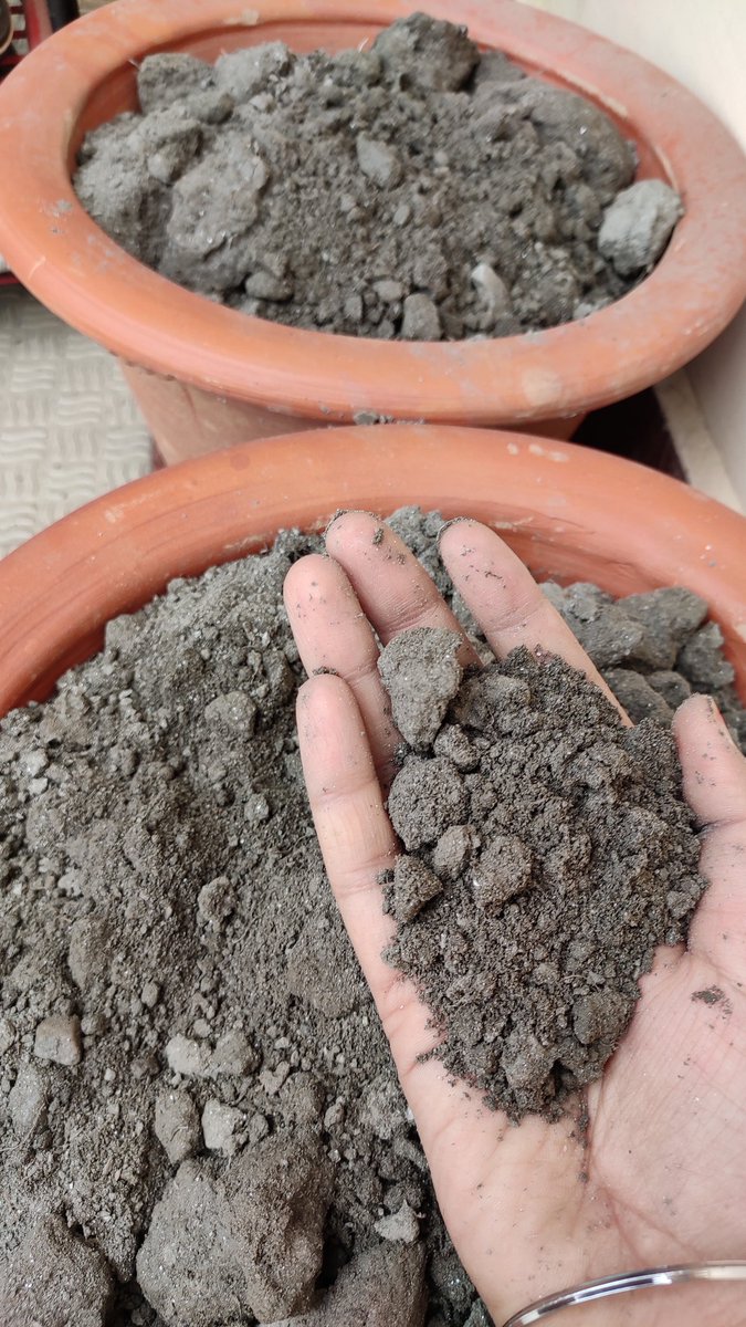 SarikaAg19's tweet photo. #SaveSoilMovement #savesoil #SaveSoilSaveLife #ConciousPlanet #100DaysofSoil https://t.co/pVwySag5vH