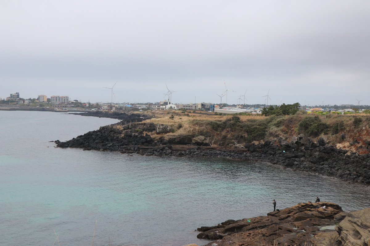 문왕수 (@shiri_300) on Twitter photo 