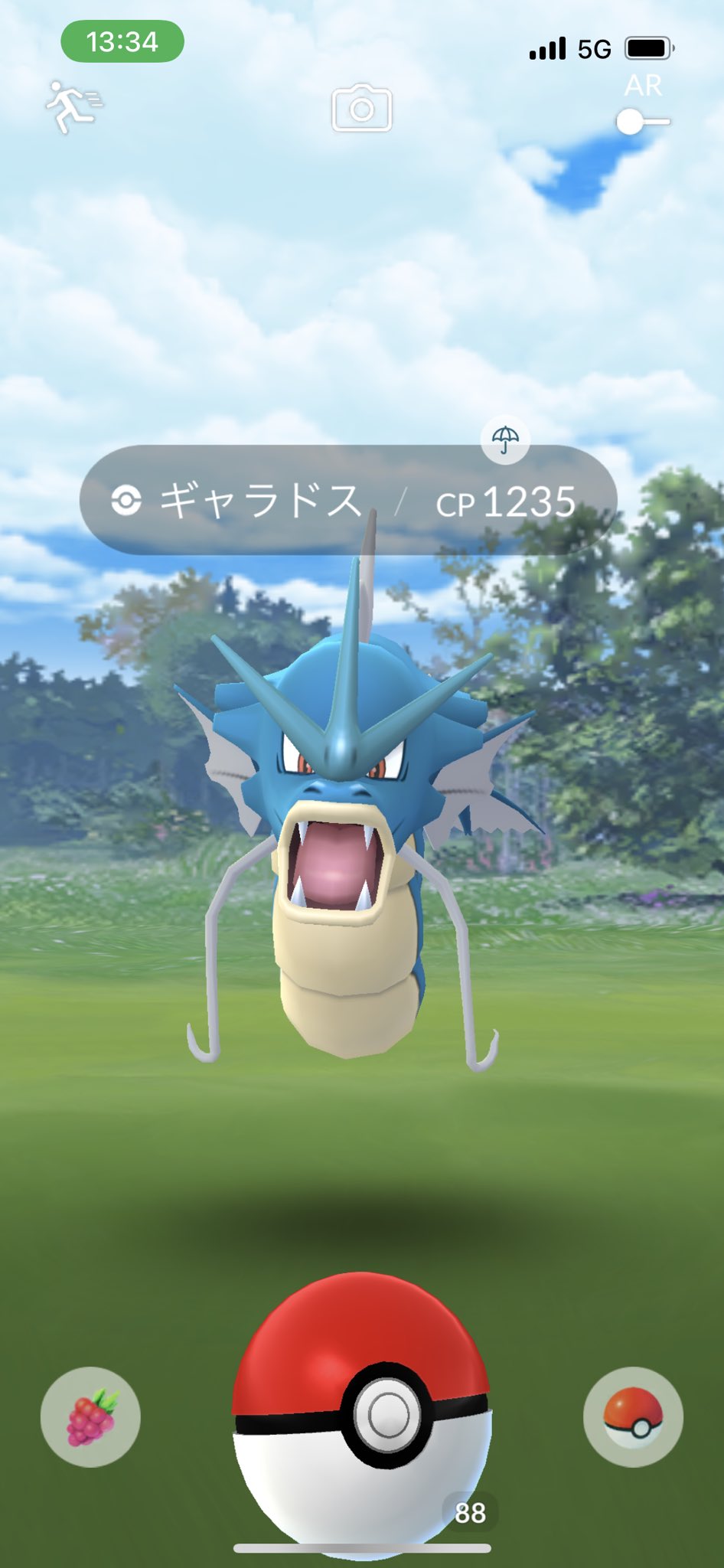 色違いカポエラー Twitter Search Twitter