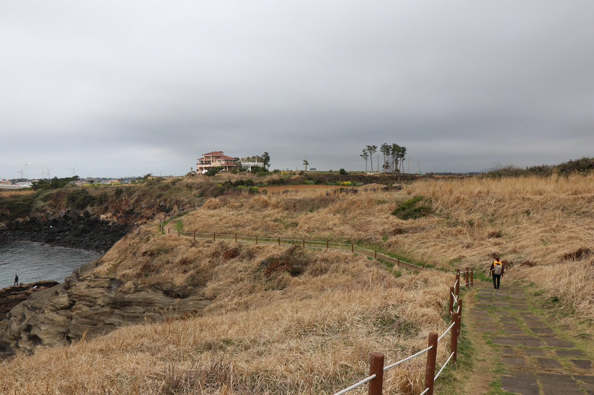 문왕수 (@shiri_300) on Twitter photo 