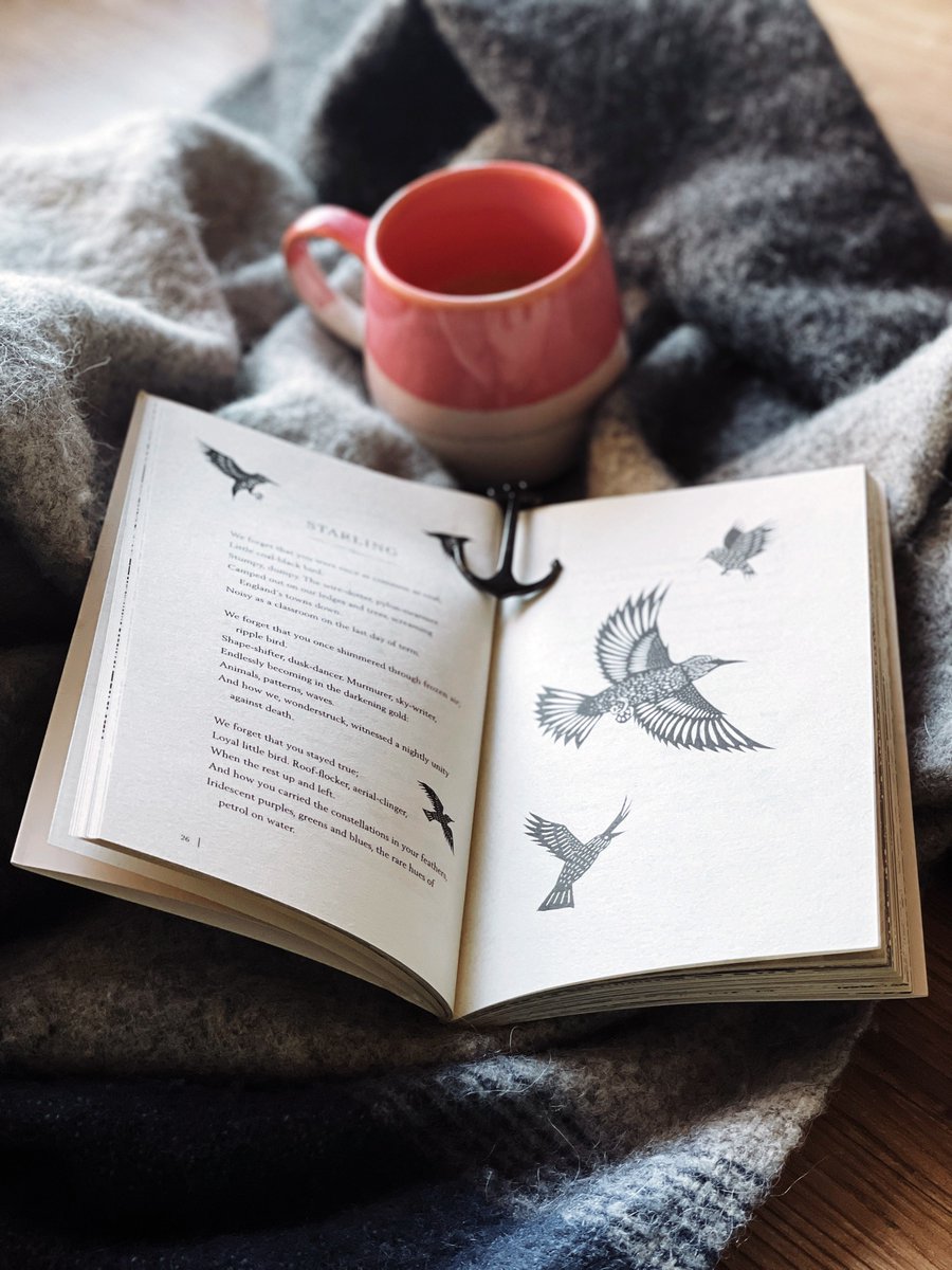 robbiecowen's tweet photo. Friends. Tomorrow is the paperback release of #TheHeeding. This has been a tough year, but the reaction to this book has been consistently humbling and heartening. If you could RT and share, or join our burgeoning community #readingtheheeding, it would be amazing. 😁🌿🎄🌲🍁 https://t.co/9mBAKDOx5n