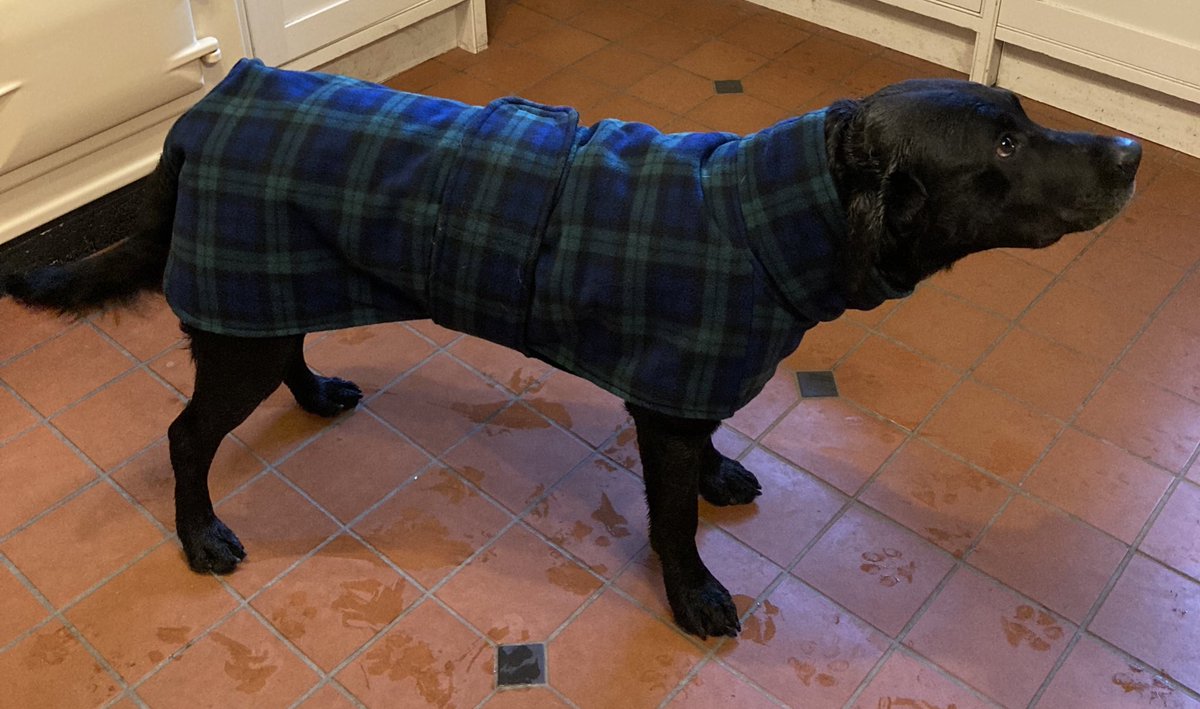 Drying off and keeping warm in our coats from <a href="/frecklesdesigns/">Freckles Designs</a> after a wet walk 🐾🐾❤️