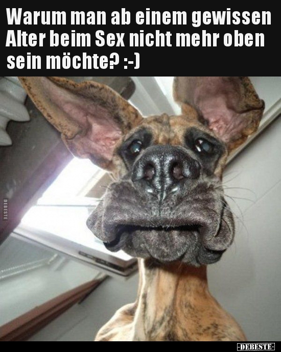 🙈Das hat mir gerade meine Freundin geschickt und mein Sexleben nachhaltig beeinflusst !🤣🤣🤣