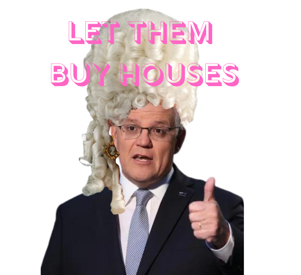 Xavier Mayes tweet media