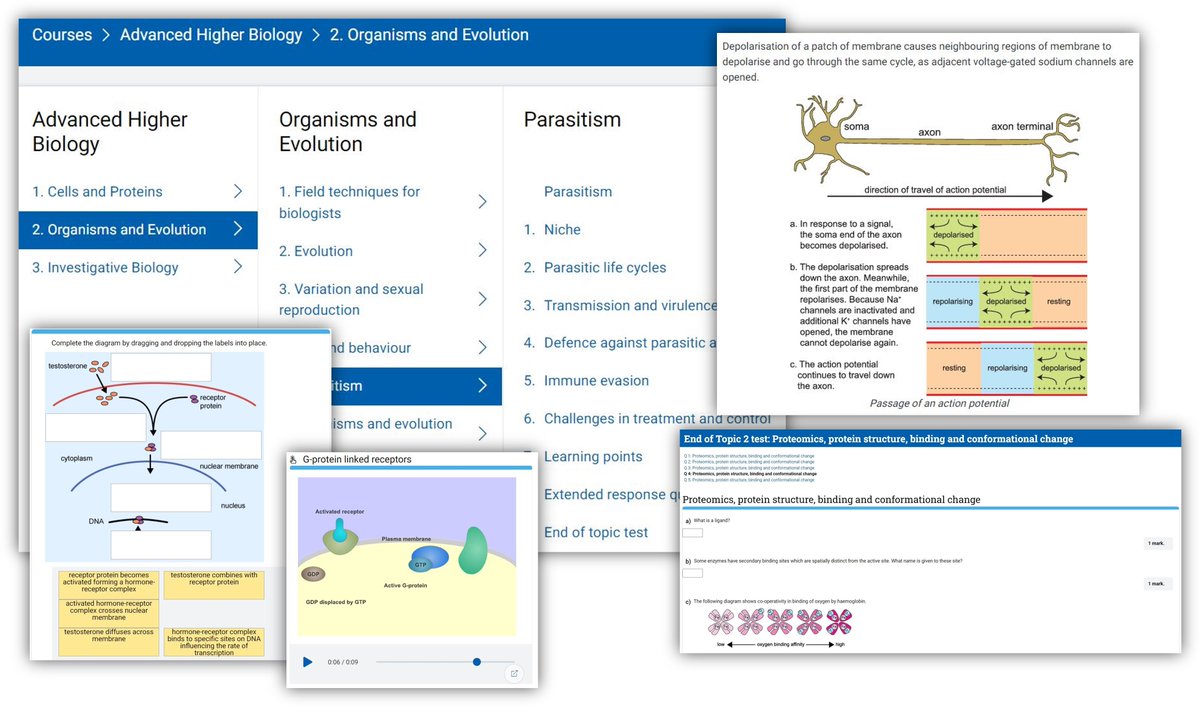 Studying for the H Human Biology or Nat 5, H or AH Biology exam on 19th May? SCHOLAR online courses are packed with explanations, animations, videos and interactive activities to help you practise and revise. Use the SCHOLAR tile in Glow or ask your teacher for a login