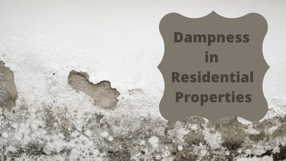 LeakDtech's tweet photo. Mention the word ‘damp’ and you conjure up images and thoughts that are not pleasant, particularly when it relates to the  family home.

https://t.co/nq0eKHZaNb 

#waterleak #waterleaks #waterleakdetection #waterleakage #waterleakdetector #waterleakfix #waterleakfound #Leakdtech https://t.co/1Qn9TkpLrw