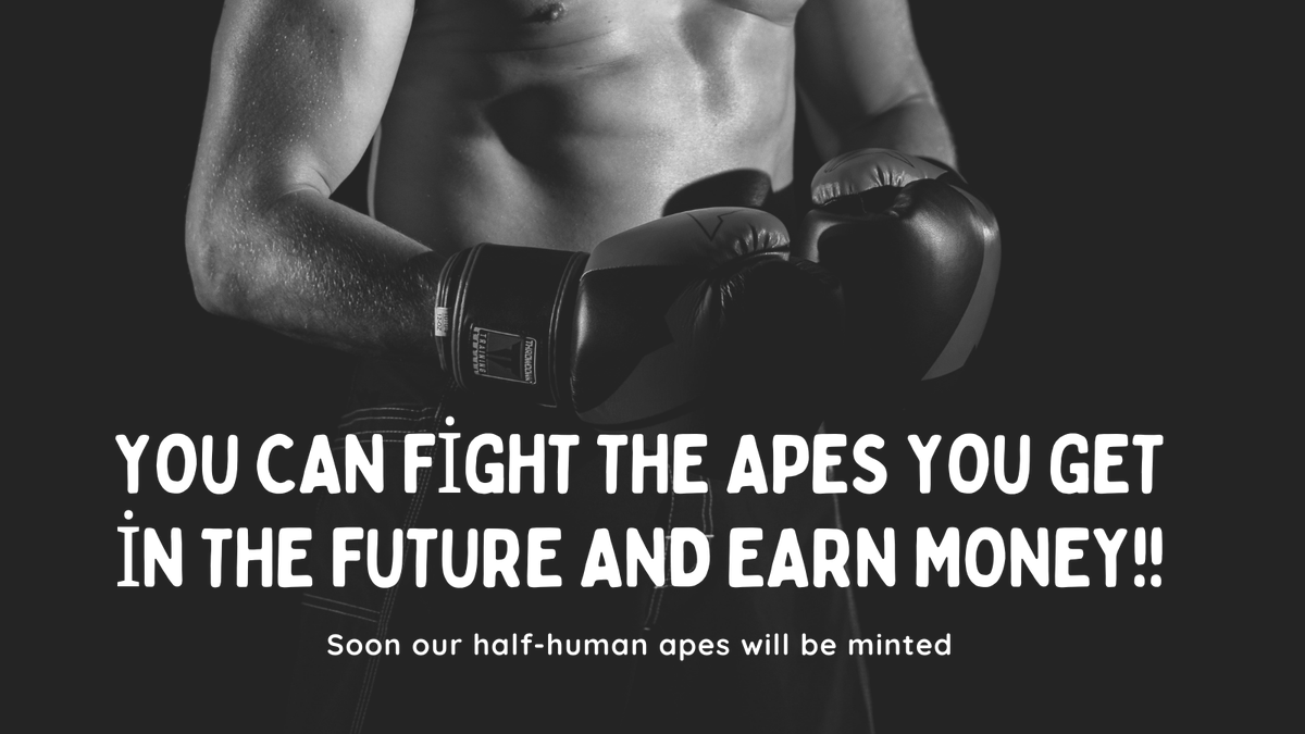 Fightr Ape Clup tweet media