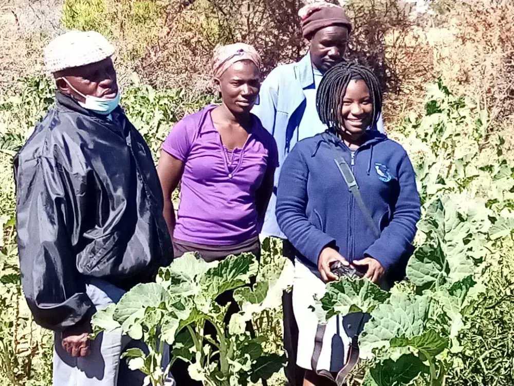 zet_uk's tweet photo. It isn't unusual for patriarchal societies to often leave women feeling #disempowered. We're helping #women at @TrinityProject4 to run their own farming enterprises as a route to #independence in an effort to make them now feel #empowered!

@DFID_UK @UKaid 

#Feminism #Zimbabwe https://t.co/65hS0ZakaQ