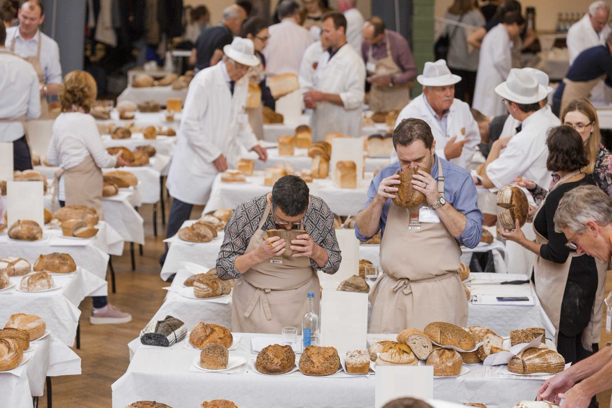 Brook Food & Bakery Equipment (@brook_food) on Twitter photo Sooooo excited to walk into a room full of delicious bread!π
The thought of the smell π
WBA we are coming for you in person!
@tiptreephotos <a href="/breadawardsuk/">World Bread Awards UK</a>
#TWBA #breadawardsuk #bread #awards #bakers #bakery Sooooo excited to walk into a room full of delicious bread!π
The thought of the smell π
WBA we are coming for you in person!
@tiptreephotos <a href="/breadawardsuk/">World Bread Awards UK</a>
#TWBA #breadawardsuk #bread #awards #bakers #bakery
