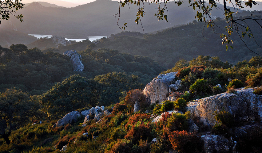 J_Majadales's tweet photo. En #JardinesMajadales encontraréis muchas rutas de de senderismo. Os invitamos a descubrir algunas de las rutas del #ParqueNaturalDelosAlcornocales.

#CostaBallena #ViviendasExclucivas 

https://t.co/k7sOQVi4GN https://t.co/JkIlI5heRT