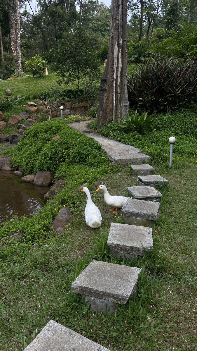 roshagulla16's tweet image. Coorg Diaries 🤎
Mentor’s Meet 
.
#coorg #mentormeet #srishtidigilife #photographers #spreadkhushiya