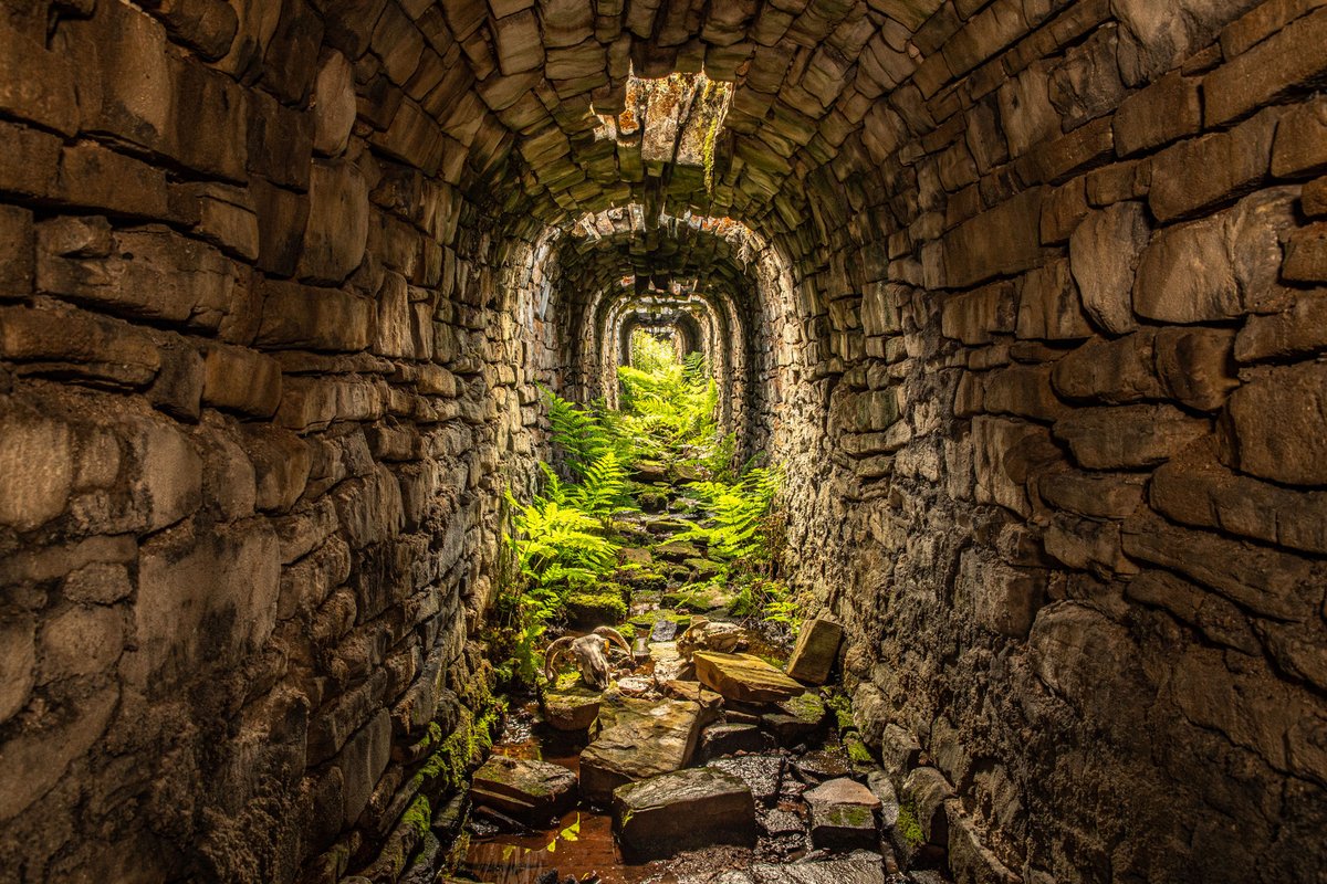 This striking image of the inside of a flue on Grassington Moor, taken by Neil McNair, was the winner of the Dales Archaeology Day 2021 photo competition. Well done Neil! <a href="/bobblehatphoto1/">bobblehatphotography</a> <a href="/1lowmill/">Low Mill Guest House</a>