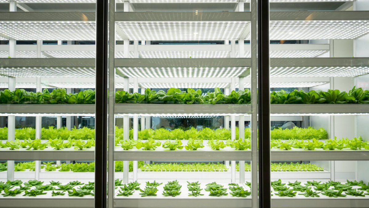huckletree's tweet photo. This week @techhq is exploring the #HuckletreeWest London FoodTech hub, the impact of technology on the food industry and why investors should be taking note π₯π
Read the full article on TechHQ now:
https://t.co/rlLG2dIH90 https://t.co/PnO0qi6Lp0
