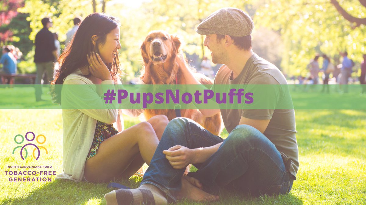 TobaccoFreeNC's tweet photo. #PupsNotPuffs was the clear winner in our poll! Second-hand smoke is dangerous for pups. Let your local decision-makers know that you support smoke-free parks and public places. #TobaccoFreeNC https://t.co/FFCifVENvT https://t.co/aCNyyNm8hV