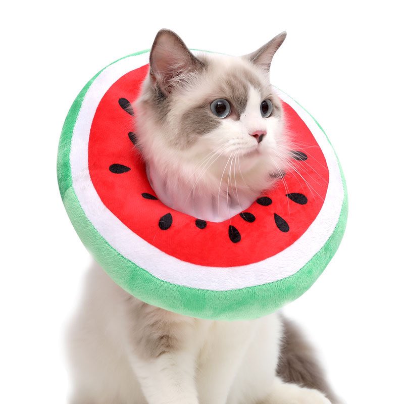 jeffbcattery's tweet photo. 〰️ Preorder 〰️
🍉🍊คอลล่าผลไม้ คอลล่ากันเลีย🍓🍍
✖️Price : 140฿✖️
ขนาดรอบคอ
➖ Size S 14-20 cm.
➖ Size M 18-25 cm.
📌 จ่ายตอนของมา แต่ห้ามเทน้า
📍ปิดรับ 3/4
(รอของ 30-40 วัน ช่วงนี้ของช้าหน่อยน้า)#jeffbcatpre
☁️ mention/ dm จองได้เลยค่า ☁️ https://t.co/1uTIJsreLs