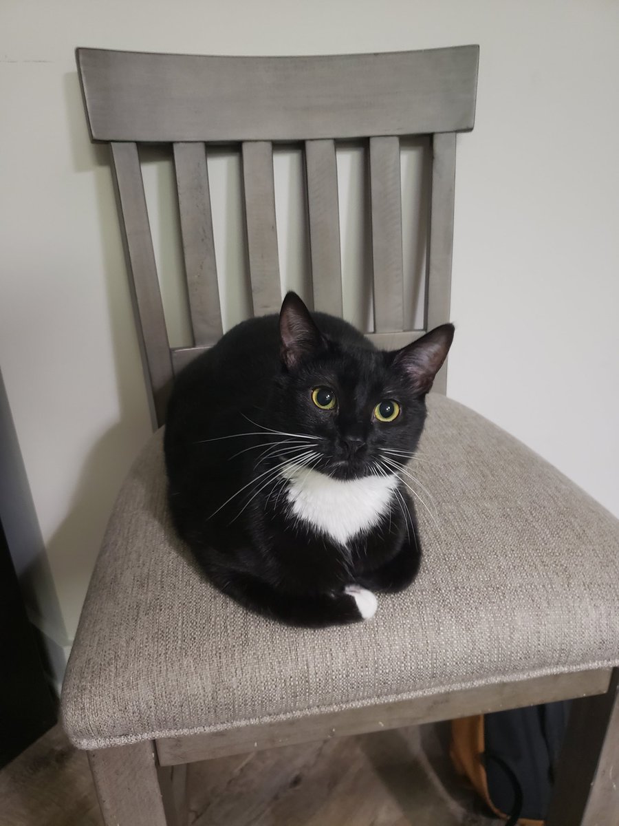 damienbecton's tweet photo. "What're you looking at?" https://t.co/pVs2jF07lS
