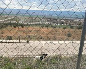 aytocabanillas's tweet photo. SE BUSCA A LOS DUEÑOS DE ESTE PERRITO
Desde hace unos días este perrito merodea por los "nuevos desarrollos" de Cabanillas. Vecinos y personal municipal han tratado de cogerlo, pero es asustadizo y huye. 
Si alguien conoce a los dueños, se ruega les avisen.
Se agradece difusión. https://t.co/YW6misGDKp