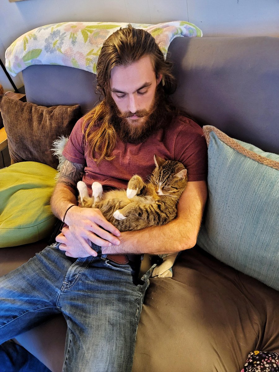 AwwHourly's tweet image. Ívarr finally curled up with me instead of his mom! I think I have finally been chosen as his human. - #chosen #curled #finally #Human #Ívarr #mom