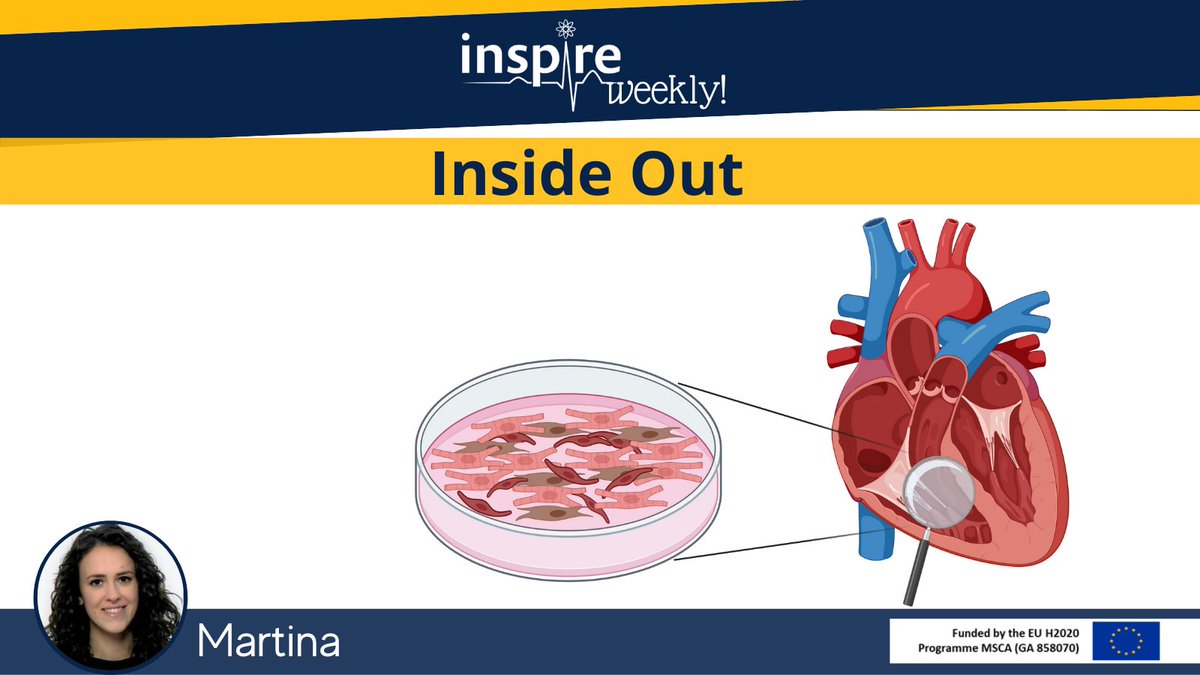 ItnInspire's tweet photo. "Inside Out!" Today's #INSPIREWeekly by Martina Cherubin - #PhD fellow at @ucb_news (Biopharma) - tells us more about her research with particular focus on drug #cardiotoxicity predictivity. Read more ๐ https://t.co/jD6VzHaNcD
#safetypharmacology #cardiomyocytes #H2020 #MSCA https://t.co/ZB4gwfcmVc