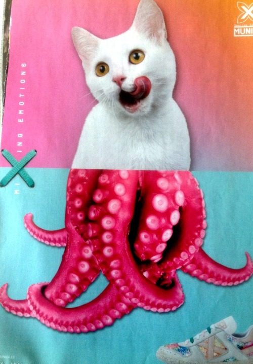 Zis_for_Trans's tweet photo. @LizWFab Death by #octokitten? https://t.co/vklHSsGKWn