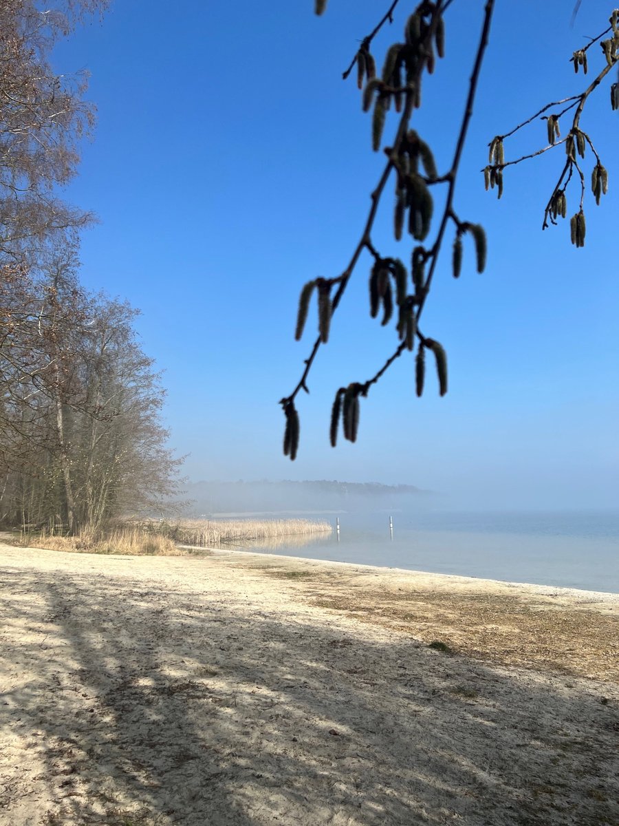Jugendfilmcamp's tweet photo. Sonnige Grüße vom wunderbaren #Arendsee mitten in der #Altmark! #altmarkliebe #jugendfilmcamp #kurzfilme https://t.co/UZ9rR7Am7u