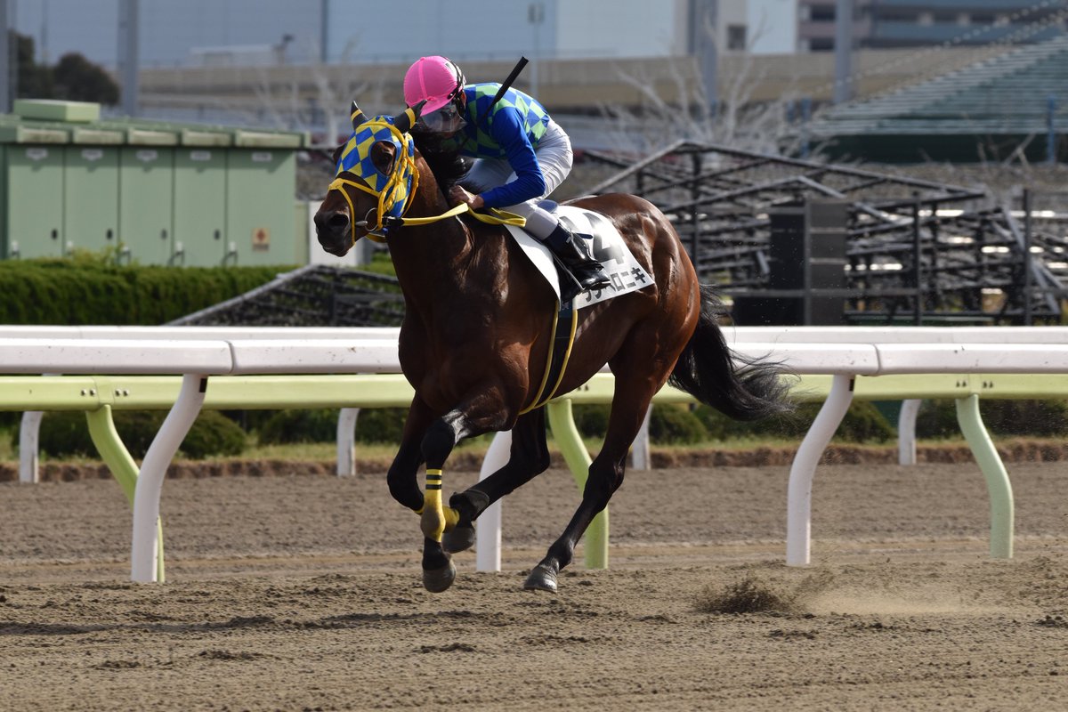 2022年3月30日大井第3レース
ランペロニキ 