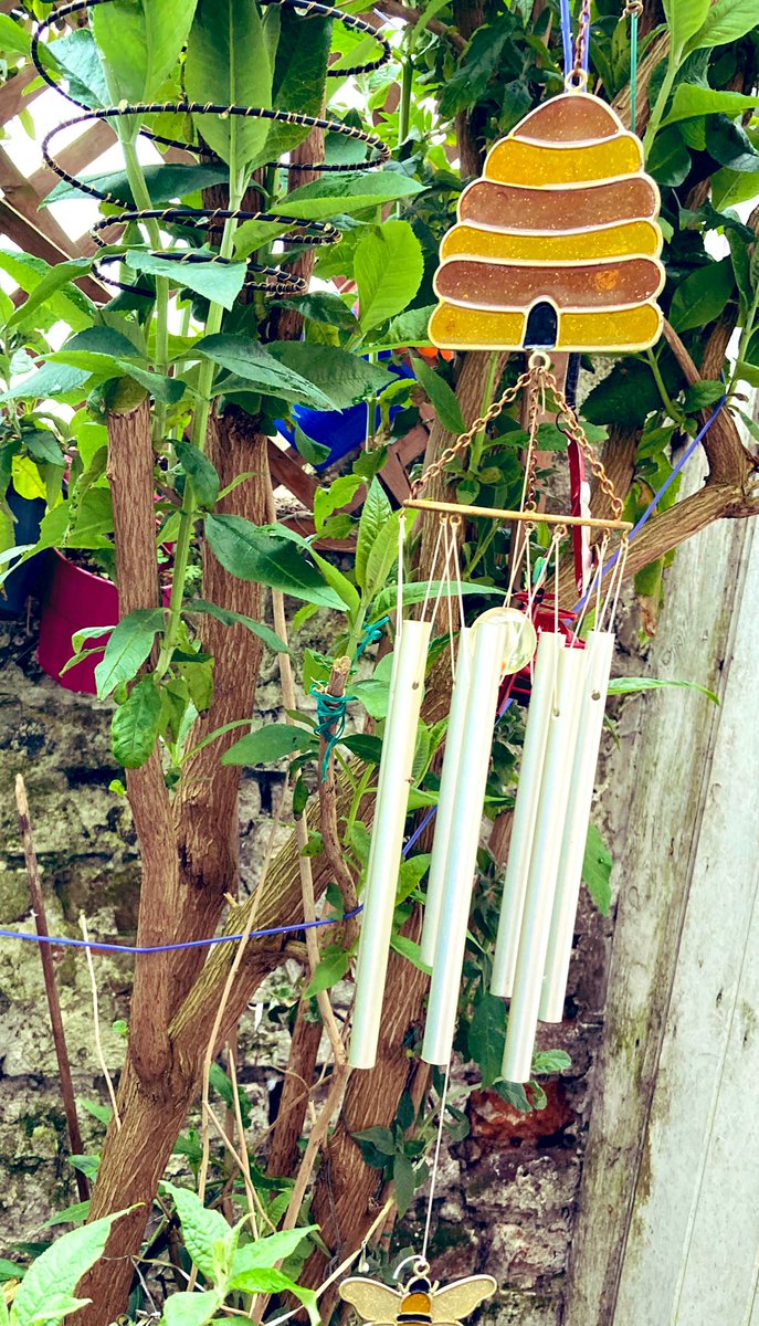 madeleinemaste4's tweet photo. @A_AMilne A bear and his hunney
like a magnet 
those pots
sing to 
Winnie 
telling him
just where they are!
Hurry hurry 
and Home is where 
the hunney is 🐝🍯💕
#callinghome 🏡
#whereverabearmayroam 
💕🐾 https://t.co/1Kepx0wzYI