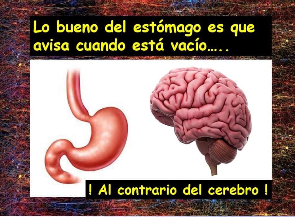 miguelhotero's tweet photo. Buena observación… https://t.co/M2UEsFMcco