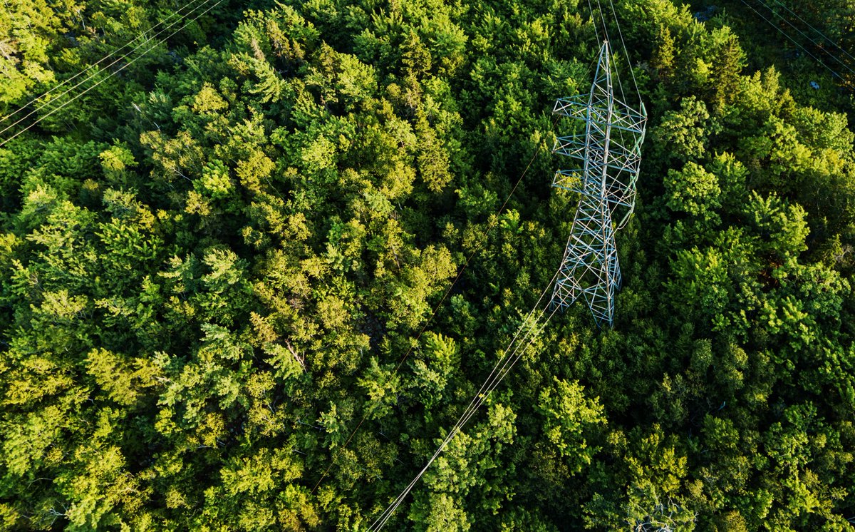 dLab_Sweden's tweet photo. There is still time to sign up for: Disturbance analysis, basic course (ENG). The webbinar will be held March 31 between 09.00-11.30.

Read more and register: https://t.co/1U6Iw0zppE

#gridinsight #smartgrid #gridinsightperfected
#gridanalytics #sustainability #innovation https://t.co/0rooc6ECG2