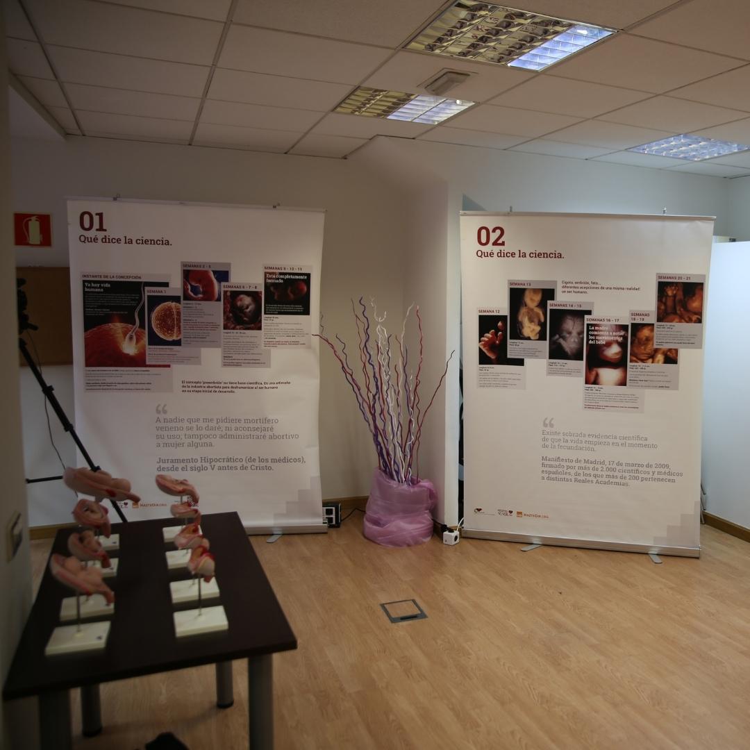 hazteoir's tweet photo. Magnífica la inauguración de la #Expovida
Recordad permaecerá abierta durante esta semana, pero antes de ir, escribid a info@refugioprovida.com para que os informemos sobre la disponibilidad.
#RefugioProvida https://t.co/Dvc6nkG828