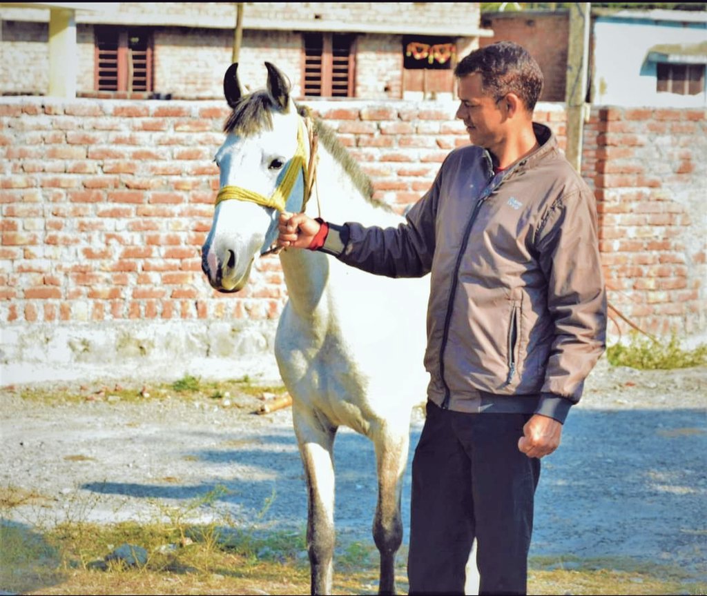 BrookeIndia1's tweet photo. “A horse is worth more than riches.” – Spanish proverb #BrookeIndia #Photoday #Photography #Horses #Mules #Donkey #animalwelfare #compassionatehandling
@TheBrooke https://t.co/9qPftg7XjB