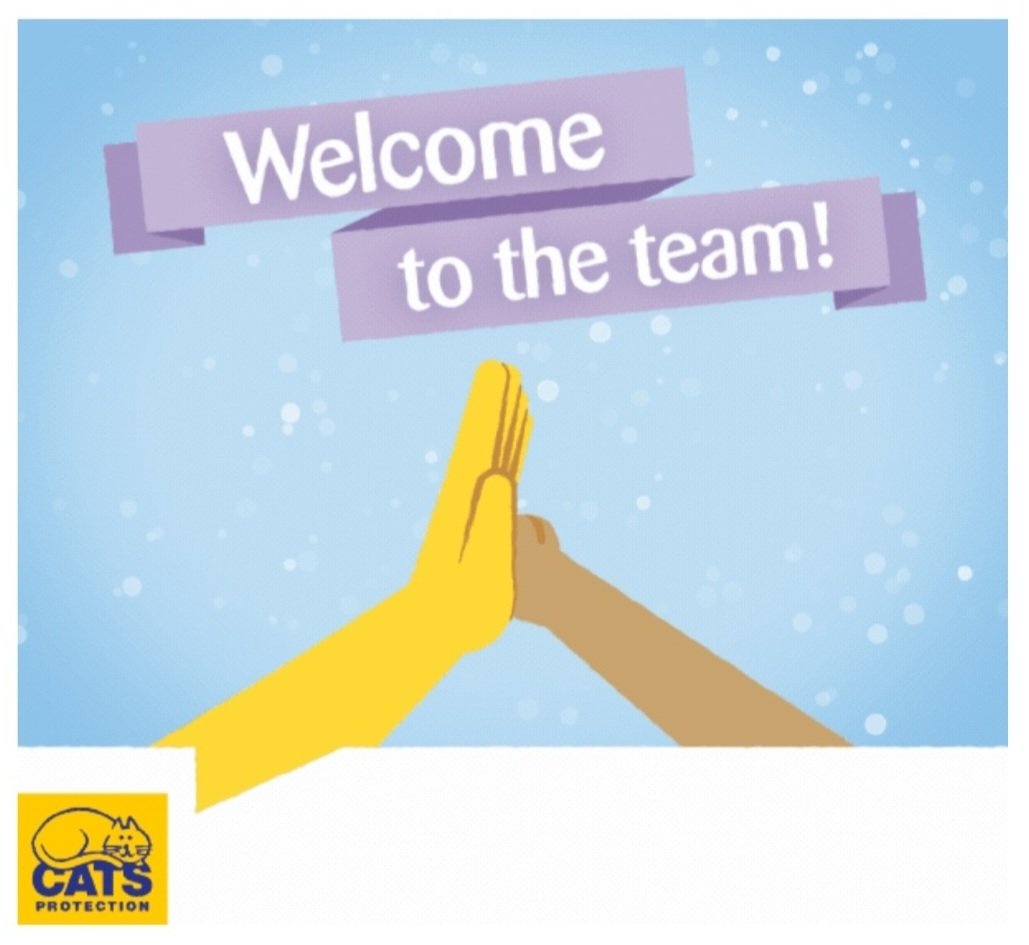 _raeforeman's tweet photo. Soo excited to be starting a new job as a Feline Welfare Research Associate with @CatsProtection today! I can't quite believe this job exists, let alone that I get to do it 😱☺️🐈‍⬛  #YourPurrfectJob #animalwelfare #phdchat #phdlife #AcademicTwitter https://t.co/8FvZU5NCW3