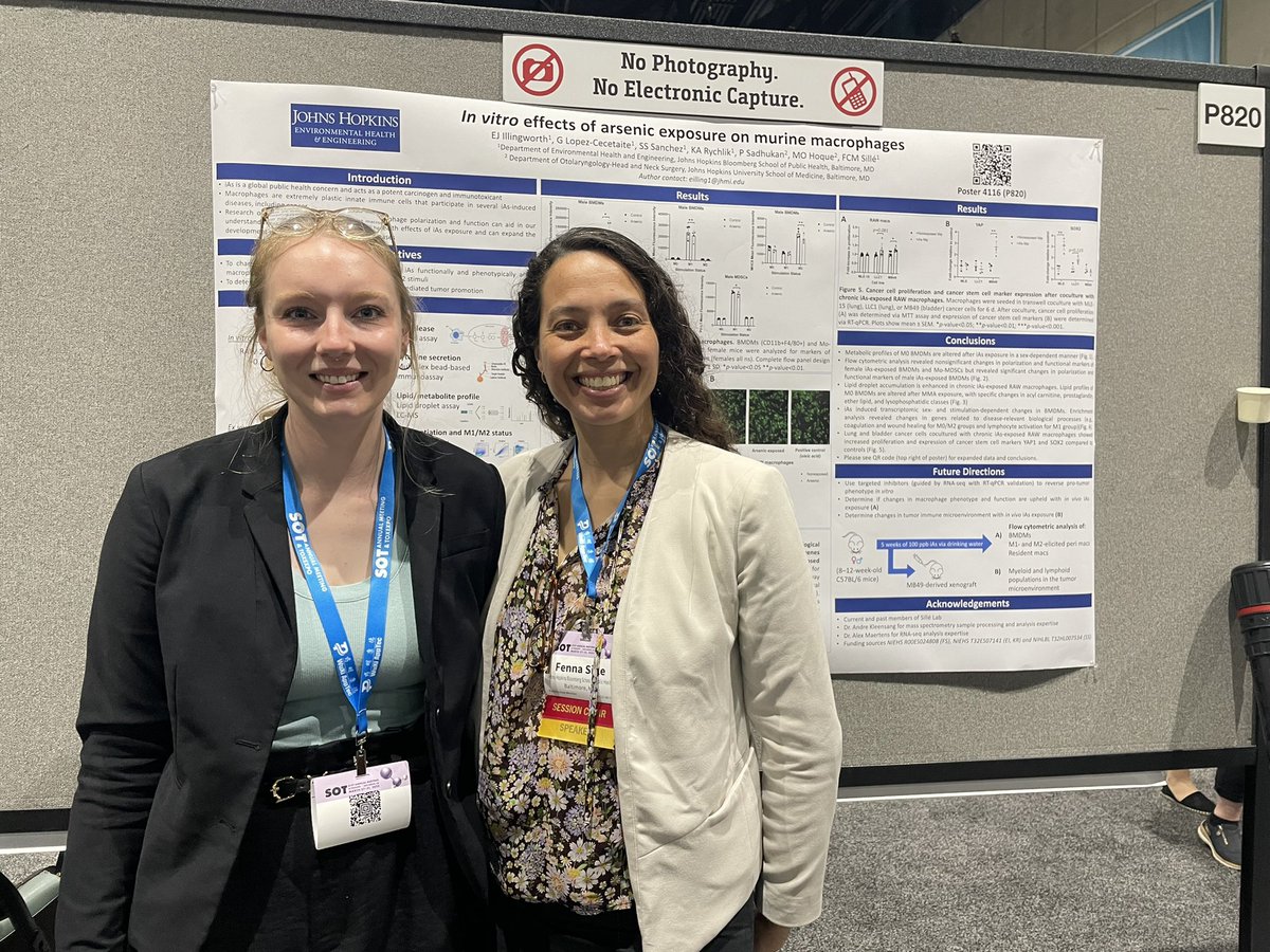 Fenna Sillé tweet media