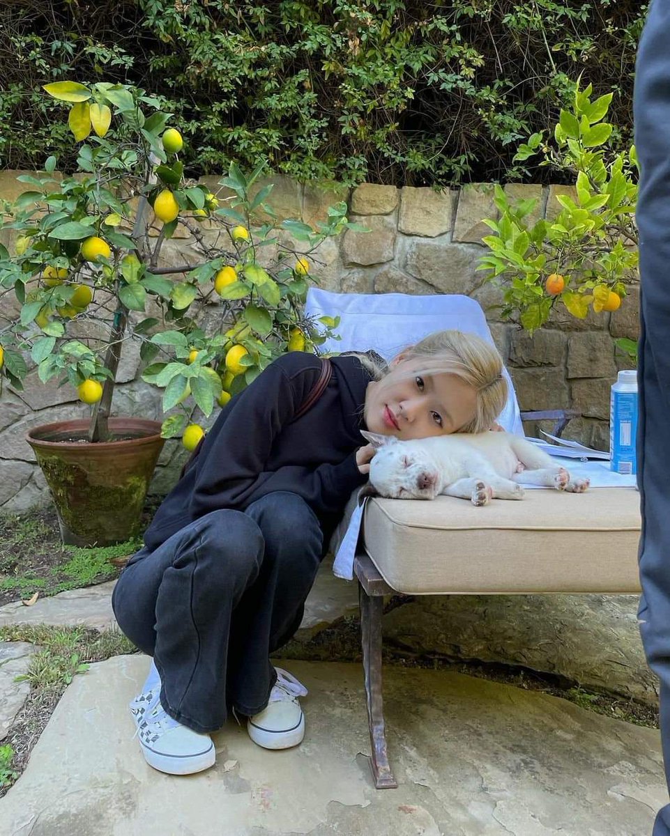 Pasta1102's tweet photo. Bởi ta n��i R chỉ có Fansé cũng chả sai:)) thương em
WE LOVE YOU ROSÉ
블랙핑크 로제 #ROSÉ #로제 https://t.co/9cG8YsNoUx