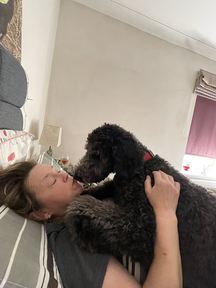 _GoldenDoodle2's tweet photo. Love our momma ❤️ @_GoldenDoodle1 https://t.co/XFcNFlVyd9