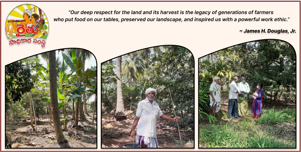 APZBNF's tweet photo. A 78 Year old farmer-Namani Rosaiah from Atthota, Guntur District practicing 5 Layer Model in 0.75 acres of his land and setting goals to his fellow #Farmers to adapt #naturalfarming in Guntur District.
#5Layermodel @AgriGoI https://t.co/mdjcNm0Q9c