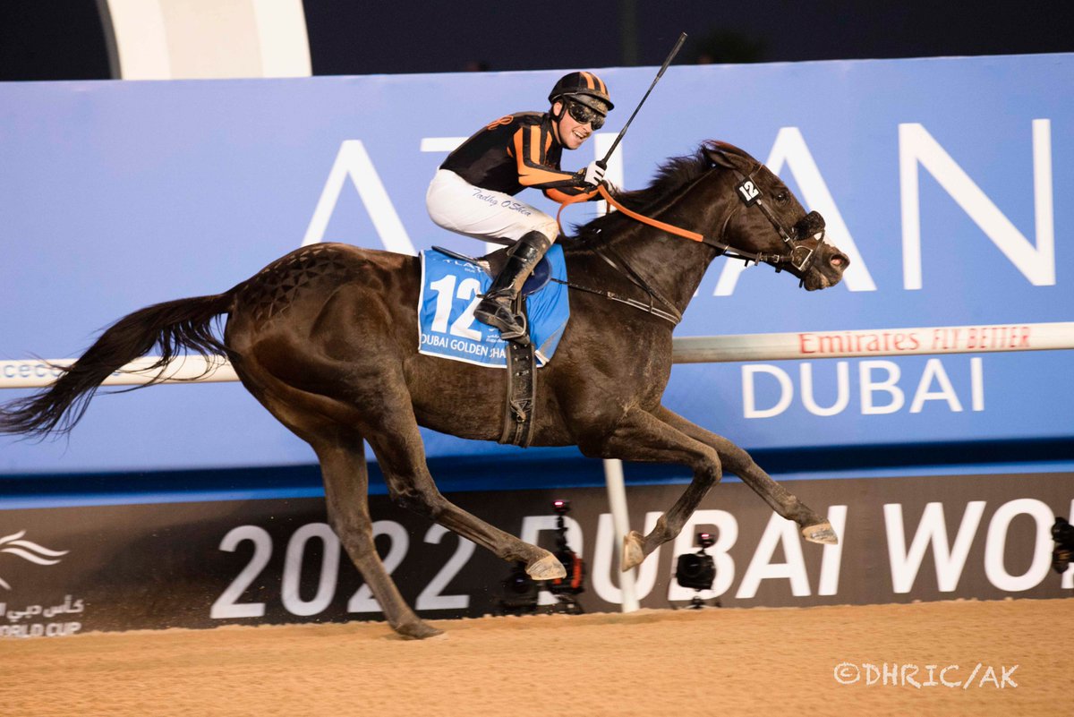 DubaiRacingTV's tweet photo. Don't miss our final #TheWinningLine of the season at 6pm tonight.
- @OsheaTadhg live in the studio
- looking back at all nine DWC races
- @KeibaKate on the Japanese success story
- review of the UAE season
- previews of @ADECOfficial and @aesgc
https://t.co/Vd582xMxJu https://t.co/WbysOcFLdO