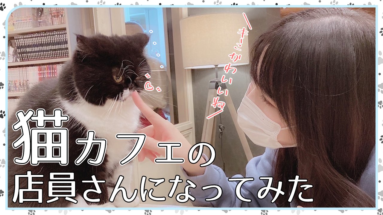 イコラブ 髙松瞳 直筆生写真 猫 コンプ イコラブ 髙松瞳 7周年コンサート衣装 生写真 直筆 チュウ 猫