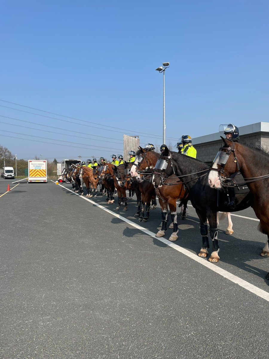 Mer Pol Mounted tweet media