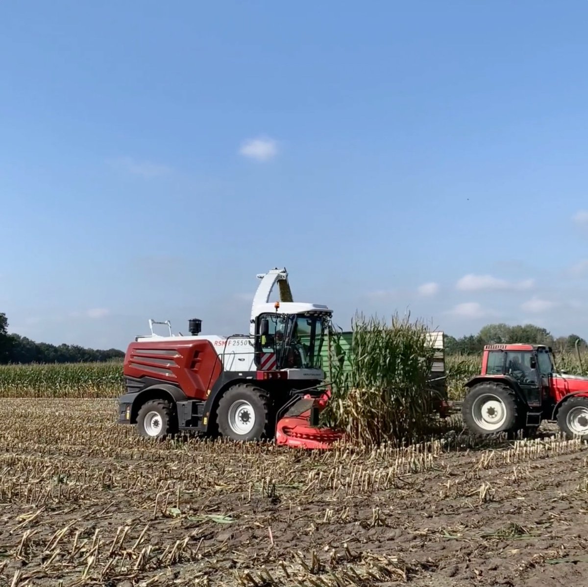 RostselmashD's tweet photo. Maisernte - Stück für Stück. 🌽 Bis zur Maisernte ist noch ein bisschen hin, aber weil’s so eine schöne Erntezeit ist, hier ein Rückblick auf den letzten September bei Halle (Westfalen). 🙂
#maisernte #rsm #agrartechnik #rostselmash #landwirtschaft https://t.co/lUVfagfPw0