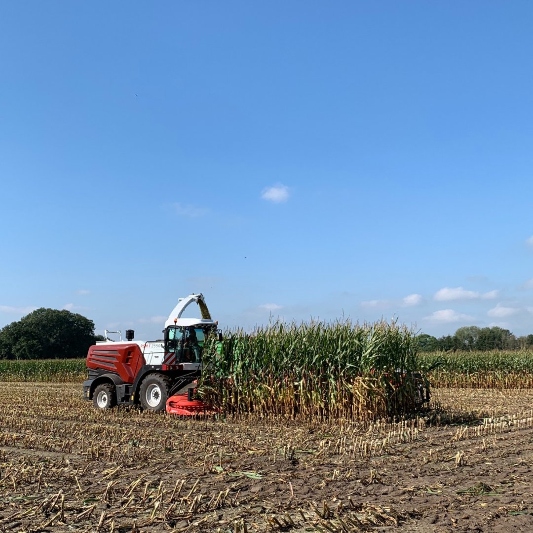 RostselmashD's tweet photo. Maisernte - Stück für Stück. 🌽 Bis zur Maisernte ist noch ein bisschen hin, aber weil’s so eine schöne Erntezeit ist, hier ein Rückblick auf den letzten September bei Halle (Westfalen). 🙂
#maisernte #rsm #agrartechnik #rostselmash #landwirtschaft https://t.co/lUVfagfPw0