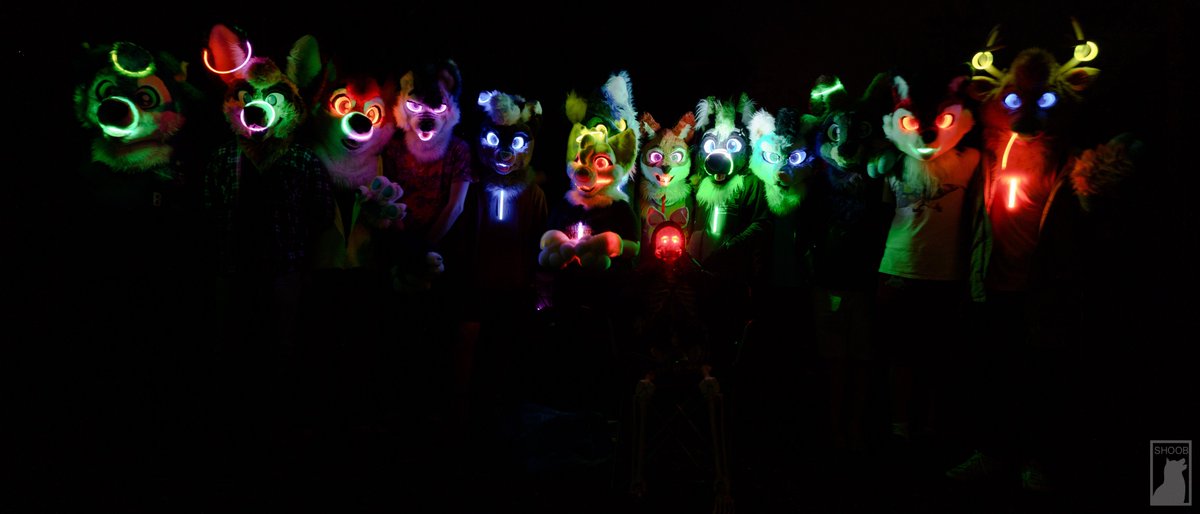 Met some cool animals on the weekend